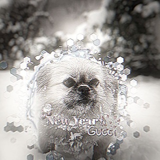 Хвост Алабая☠️🎄