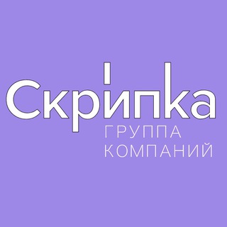 Скрипка