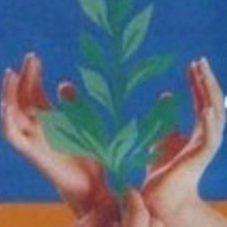 ГКОУшкола35