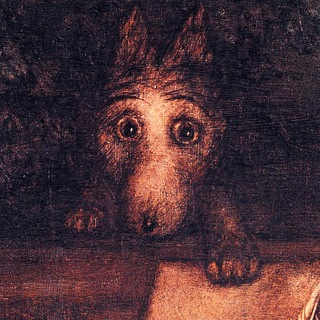 Взгляд с экрана