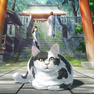 Котуризм 🐈