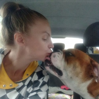 ЗООтакси Белгород Перевозка животных по России🚕