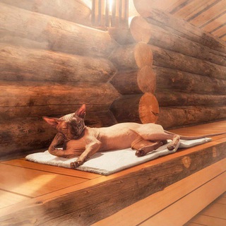 Идем в баню Мск