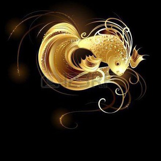 ✨Gold fish ✨