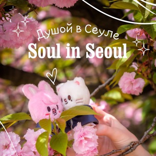 Душой в Сеуле ✨ Soul in Seoul 🔞