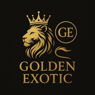 👑 GOLDEN EXOTIC 👑