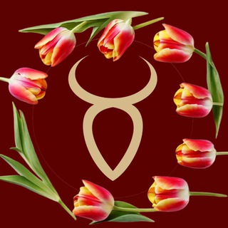 Распродажи! «Золотой телец»