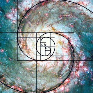 Золотое сечение