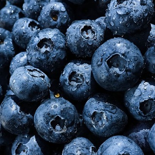 Голубика ДНР