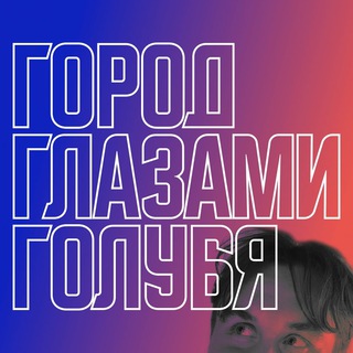 город глазами голубя