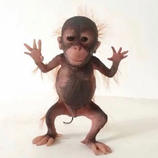 Fairies Niggrinx🦋