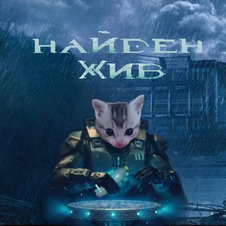 Чак Норрис найден погиб.