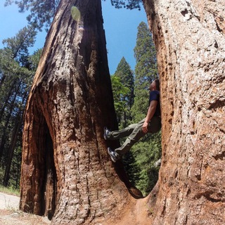 Gonets Торговые идеи