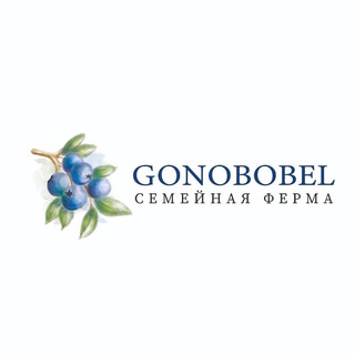 🫐 Gonobobel_farm