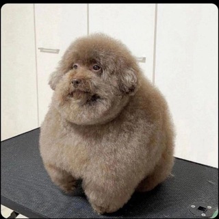 Тупые мемы каждый день