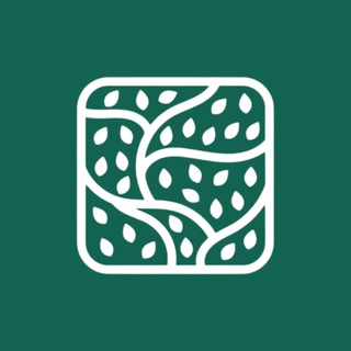 уДАЧНЫЙ ГАЗОН | Ландшафтные работы и озеленение