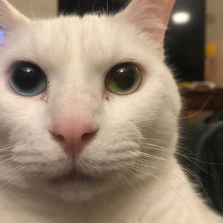 Доброе Утро