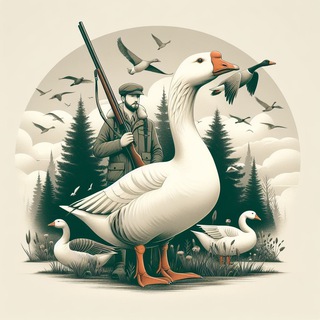 Электроника | Охотник за товарами