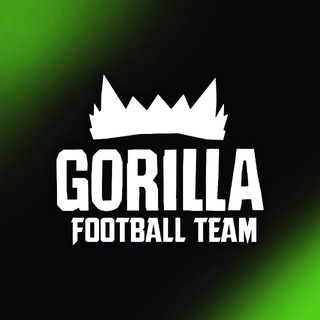 «GORILLA TEAM»(football club)