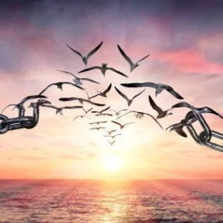 🌏 Горизонты МИРА 🌎