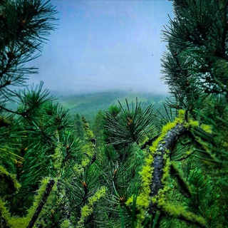 Красота на ладони🏞