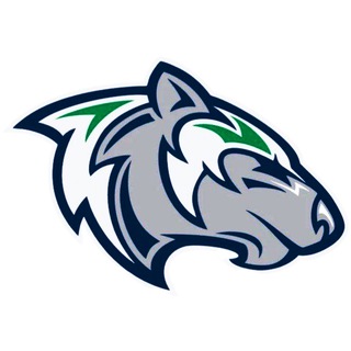 💚ХК "Горняк" ЮХЛ 2008💙