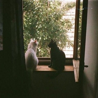 Гᴏᴩᴏдᴏᴋ Фᴀндᴏʍᴏʙ(^_^)