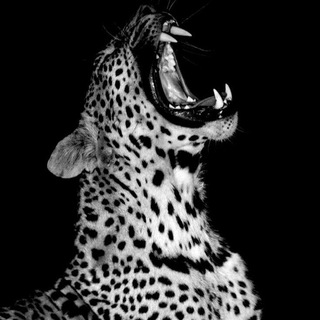 wlw гороскоп