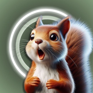 Белкины рисунки | графический дизайн