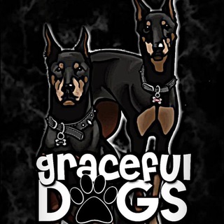 𝐆𝐑𝐀𝐂𝐄𝐅𝐔𝐋..𝐃𝐎𝐆𝐒