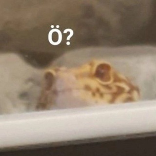 Граф Эдельвейс запекает ящериц [3D character artist]