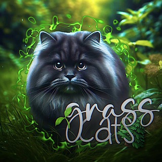 🌿grass.cats ᶜʰᵃᶰᶰᵉᶫ🍃