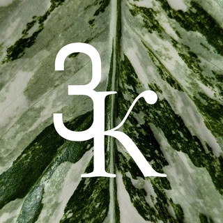 Зелёный кот | Комнатные растения