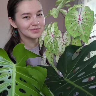 Зелёное счастье на окне у Евгении 🪴