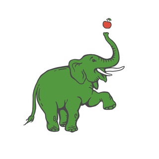 Зелёный слон. Доставка полезной еды.