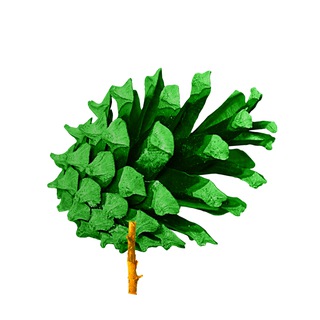 Зелёная Вышка