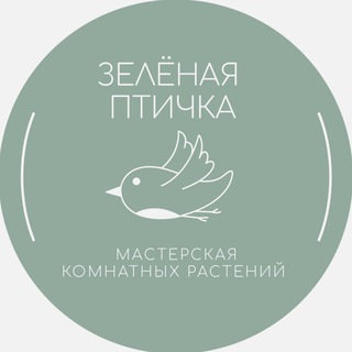 Зеленая птичка - мастерская растений 🪴