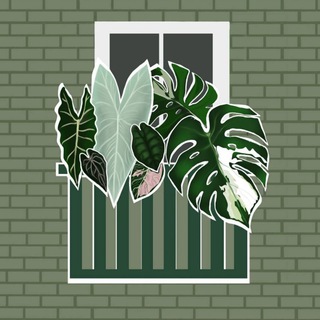 ЗЕЛЁНЫЙ БАЛКОН