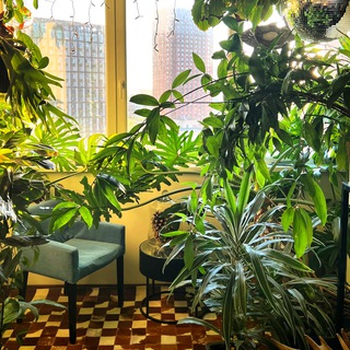 Ботанический кружок 🟢