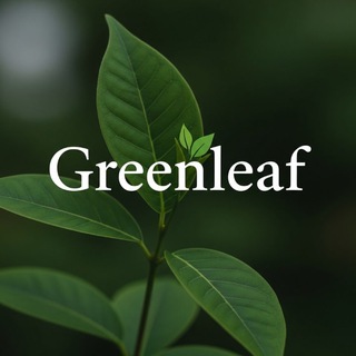 📌Greenleaf - Oazis 🔔