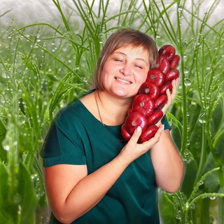 Ялтинский лук и микрозелень