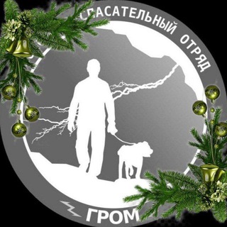 АООО ПСО "ГРОМ"