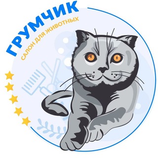 Красивая стрижка собак и кошек Лицензированная школа Груминга Ростов-на-Дону ГрумЧик🥇Кошки, Собаки, путешествия, юмор, мнение😅
