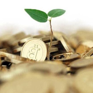 Grupo Bitcoin Brasil 🇧🇷