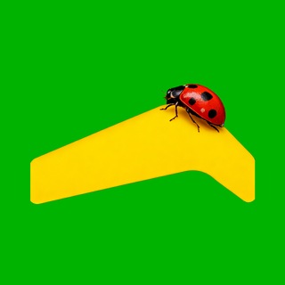 Грузовичкоф