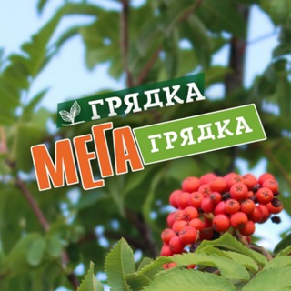 СЦ "Мегагрядка", Сеть магазинов «Грядка»