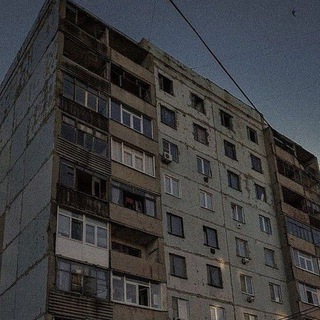 Кактус на подоконнике