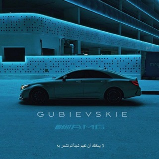 ɢ ᴜ ʙ ɪ ᴇ ᴠ s ᴋ ɪ ᴇ 🚸