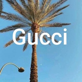 Gucci - образы с WB и OZON