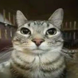 Guest898_tt(перезалив)